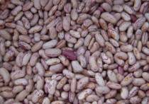 light speckled kidney beans(long shape)