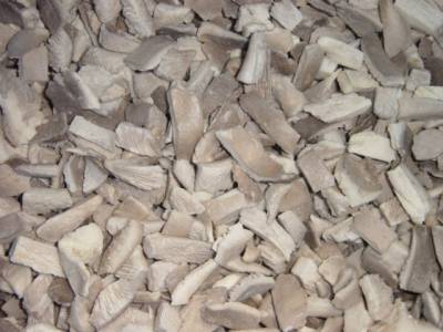 IQF Oyster Mushroom