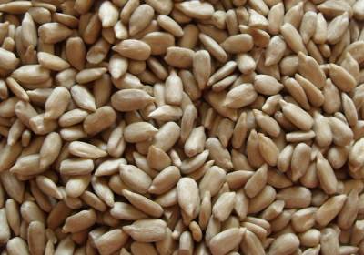 Sunflower Seeds Kernels(Bakery Grade）