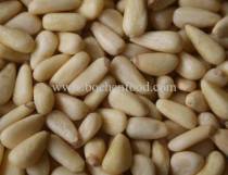 Pine nut kernels