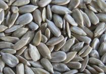 Sunflower Seeds Kernels(Confectionary Grade)