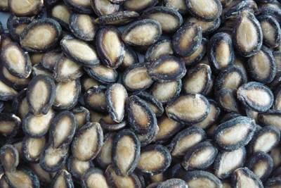 Black Watermelon Seeds