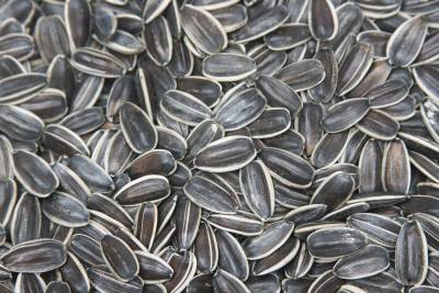 Sunflower Seeds(5135)