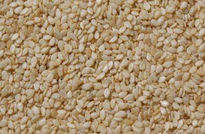 Sesame Seeds