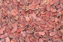 Red Watermelon Seeds