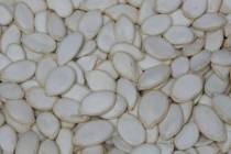 Snow White Pumpkin Seeds